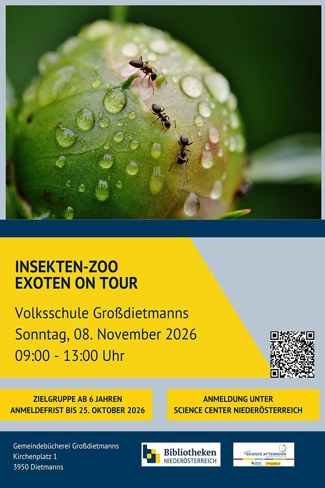 INSEKTEN ZOO – Exoten on Tour – Workshop der Gemeindebücherei